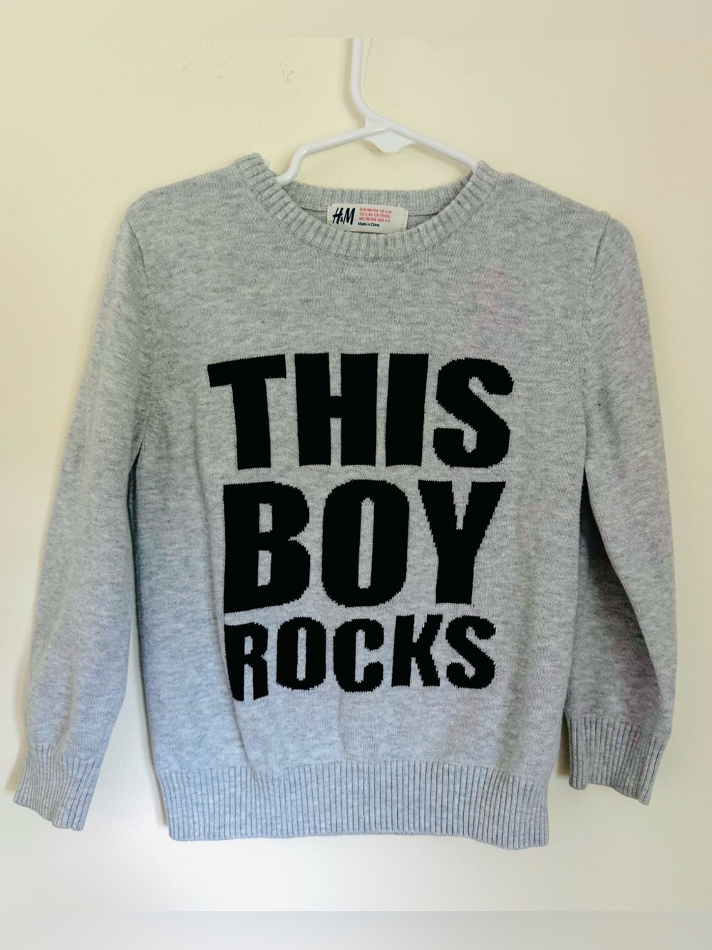 H&M Boys Sweater, Size 2-4 Years